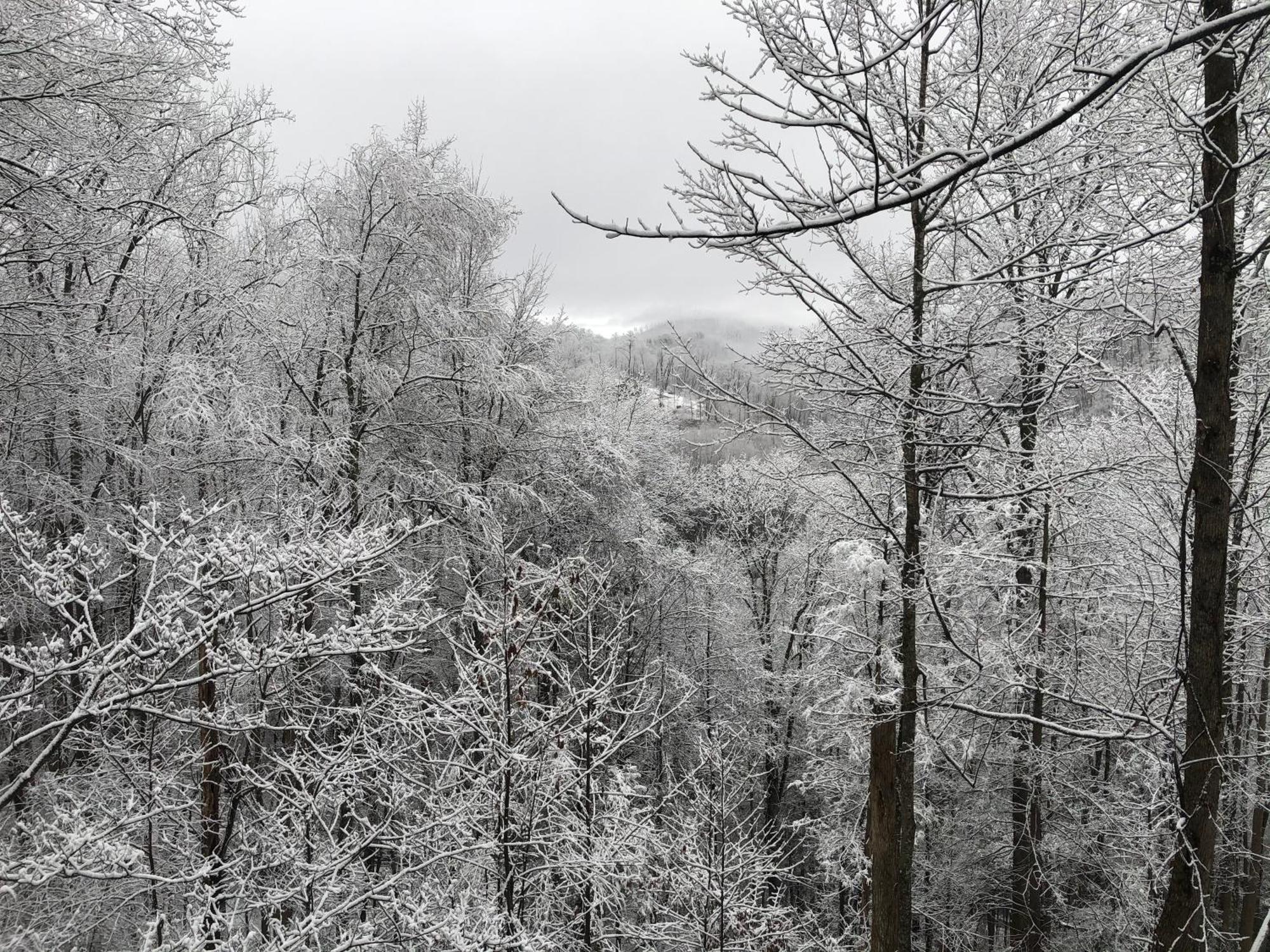 Black Bear Cove Gatlinburg Exterior foto